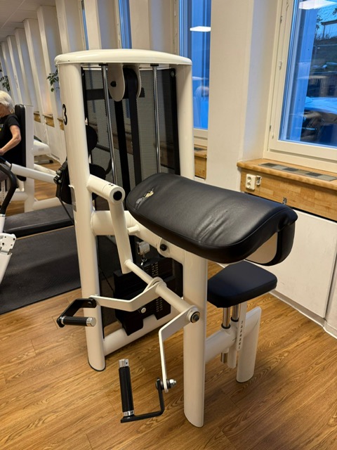 Gym 80 hauiskääntö laite