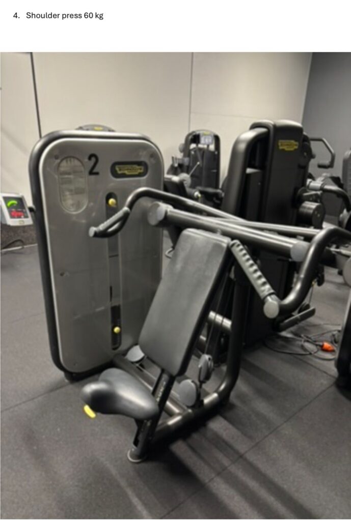 Technogym shoulder press