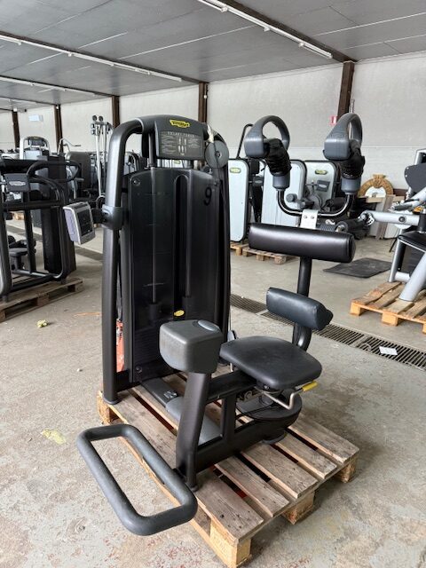 Technogym rotary torso
