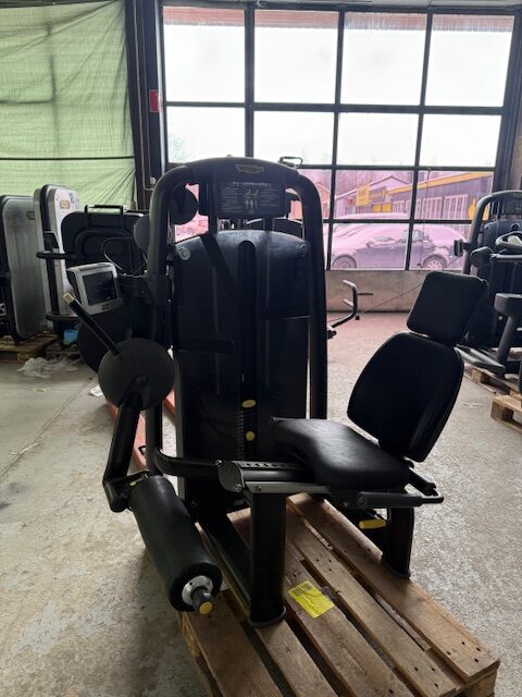 Technogym leg extension