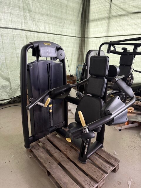 Technogym delts machine