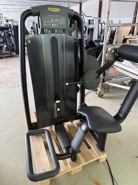 Technogym lower back