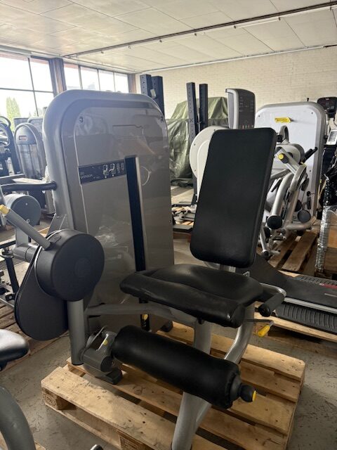 Technogym leg extension